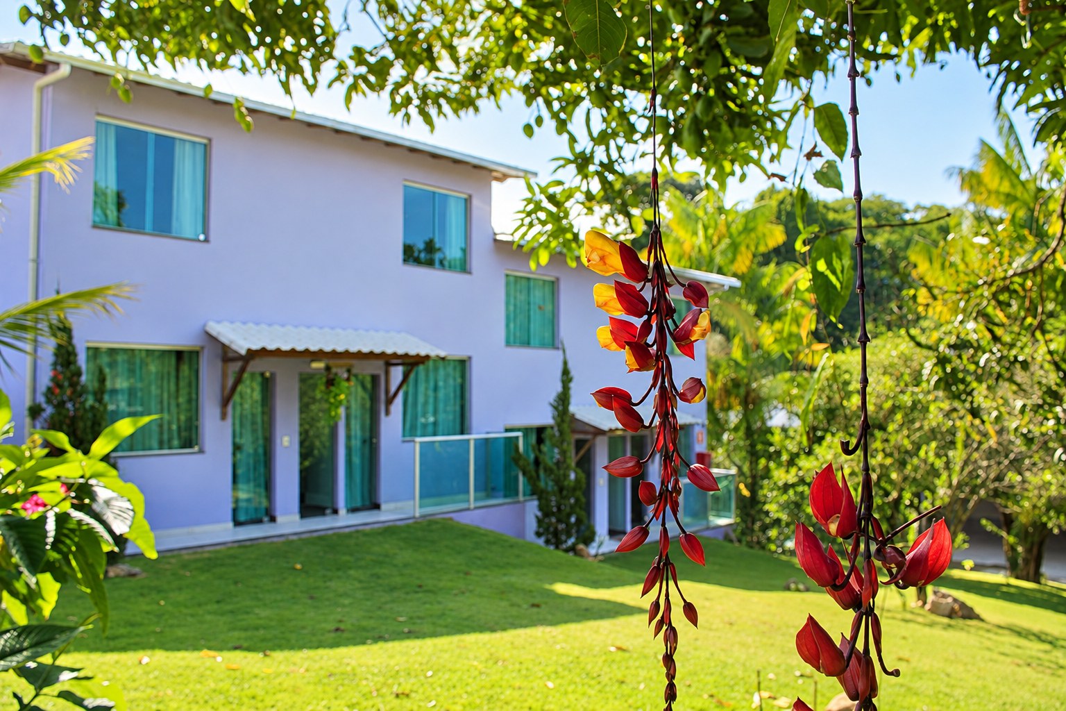 Silêncio, verde e